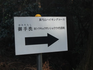【小さな山旅】山椒魚と亀虫…茨城県・真弓山（1） 画像