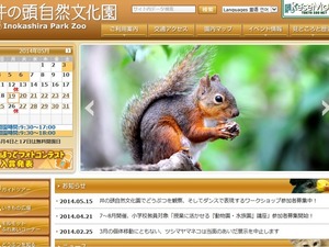 井の頭自然文化園で自然観察、6月より8回開催 画像