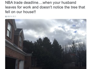 NBAチームのGMはつらいよ…仕事に没頭し過ぎ自宅の倒木に気づかず妻激怒 画像