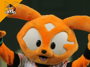 Facebook、プロ野球チームの公式プロフィール写真フレームを提供 画像