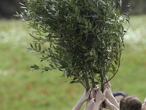オリーブをオリンピアンと運ぶ「目黒区・自由が丘植樹リレー」開催 画像