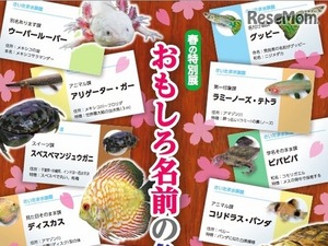 さいたま水族館に「おもしろ名前」の魚が大集合！ 画像