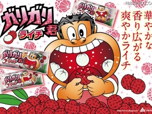 「ガリガリ君」にライチ初登場、キウイも復活 画像