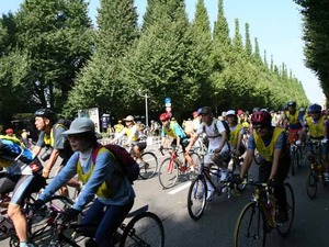 2005東京シティサイクリング 画像