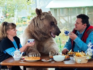 ロシア人家族と20年以上暮らしている熊…サッカー観戦、庭で水やりも 画像