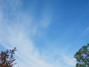 夏を満喫できるウィークエンドライド 画像