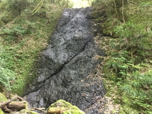 【小さな山旅】だって、低山だもの…茨城県・西金砂山（2） 画像