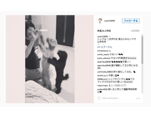 女子バレー・木村沙織、愛犬の可愛い仕草に笑顔「二足歩行を覚えたみたい」 画像