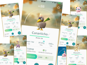 【山口和幸の茶輪記】ツール・ド・フランスのスター、カモネギを捕まえに来日？ 画像