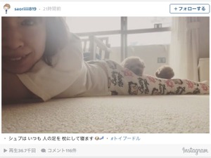 木村沙織の脚を枕にする愛犬…ファン「贅沢な枕やなぁ」 画像