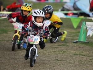 日本のちびっ子が4クラスで優勝、ストライダーカップアジア大会 画像