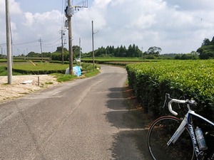 【南日本グルメライド】自転車乗りがグルメを追求すると、お得な4つのこと 画像