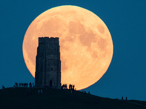 次は2034年…68年ぶりのスーパームーンの見頃は今日22時52分 画像