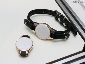 ペット向けIoTデバイス、首輪に装着するだけで愛犬の健康管理 画像