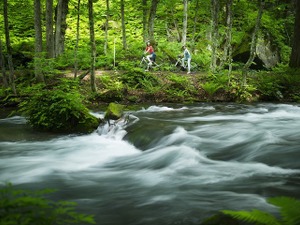 奥入瀬渓流を自転車で散歩する「渓流ポタリング」5月開催 画像