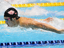 メダリストの出場が決定！「コナミオープン 水泳競技大会」開催 画像
