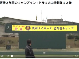 阪神タイガースのキャンプ動画、デイリースポーツ・オンラインが無料配信 画像