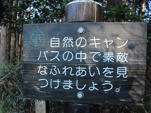 【小さな山旅】山のキャッチコピーに心を動かされる…茨城県・仏頂山～栃木県・高峰（3） 画像