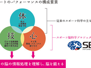NTT、スポーツ脳科学プロジェクト発足…脳を鍛えるトレーニング確立を目指す 画像