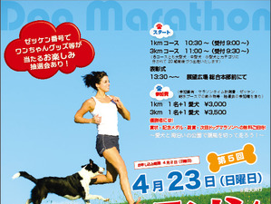 犬と人が一緒に走る「ドッグマラソンin葛西臨海公園」4月開催 画像
