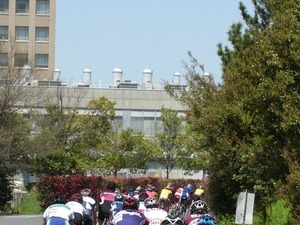 全日本学生クリテリウムは鹿屋体大がアベック優勝 画像
