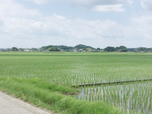 【小さな山旅】さわやか古墳山さんぽ…茨城県・梵天山 画像