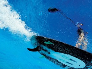 電動サーフボードで海を自在に切り裂く！ 画像