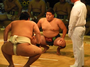 【THE INSIDE番外編】金沢学院が逆転勝利で10年ぶりの優勝…インターハイ 相撲競技（団体戦） 画像