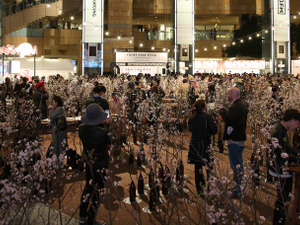 中田英寿がプロデュースするSAKEイベント「CRAFT SAKE DAY FUKUSHIMA」開催 画像