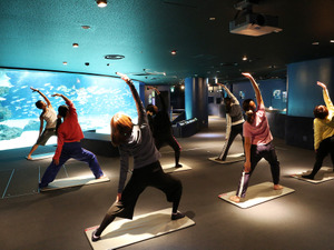 女性限定ヨガレッスン「水族館ヨガ」がサンシャイン水族館で開催 画像