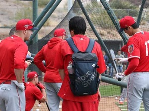 主砲トラウト、初めて見た大谷翔平の打撃に「アンビリーバブルパワー」 画像