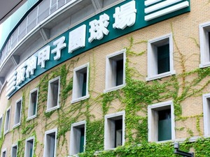 甲子園出場校「私立校優勢」から「公立校復権」へ 画像
