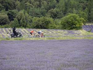 【ツール・ド・フランス14】3度目の逃げも勝利に届かなかったエルミガー「いつかは僕に運が向くだろう」 画像