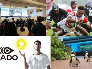 ラグビーやARを使用したテクノスポーツなどが体験できる「サンシャインシティ スポーツフェスタ」9月開催 画像