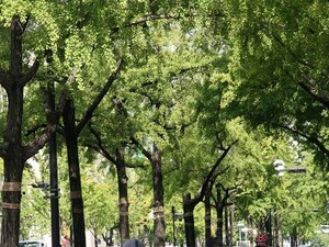 御堂筋に自転車道設置を呼びかけるイベント開催 画像