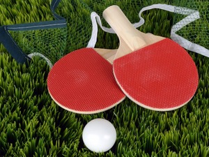 ハンガリーオープン準優勝の宇田幸矢　張本智和との日本人対決に敗れるも決勝進出は自信に 画像