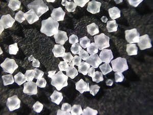 夏休み自由研究に困ってる方必見!?　スマホが顕微鏡に 画像