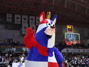 【Bリーグマスコット図鑑 #11】ゴーディー（琉球ゴールデンキングス） 画像