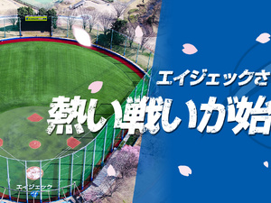 8チームが参加！女子硬式野球交流戦「栃木さくらカップ」開催 画像
