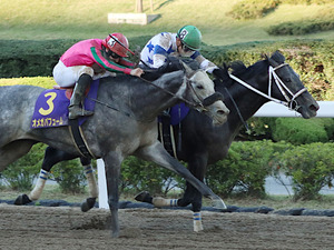 【競馬】ダートの祭典・JBC競走を分析。藤田菜七子に追い風となるデータとは？ 画像
