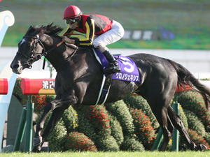 【競馬】中荒れ傾向の有馬記念　ステイゴールドの血が流れる伏兵2頭で高配当を狙う 画像