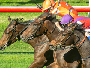 【競馬】シンザン記念 ククナとバスラットレオン、人気馬2頭の明暗を分ける「100%データ」とは？ 画像