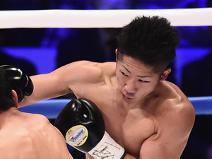 【ボクシング】井上尚弥の弟・拓真が再起戦V　東洋太平洋バンタム級王者に 画像