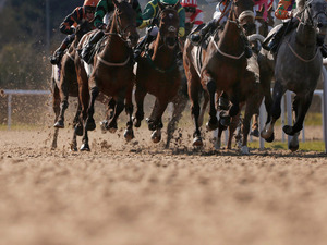 【競馬】「フェブラリーS」1番人気カフェファラオが優勝　今年のGIも主役はC.ルメール 画像