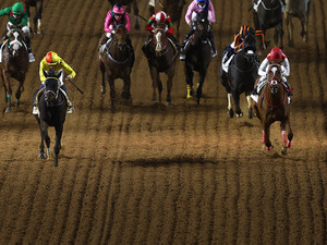 【競馬】コパノキッキング、リヤドダートスプリント制覇　チュウワウィザードはサウジC9着 画像