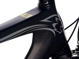 チームユーラシアが新態勢でステップアップを図る 画像