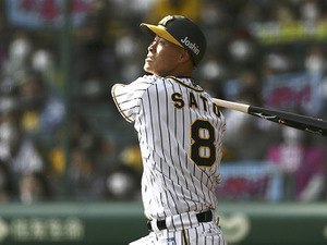 【プロ野球】阪神ルーキー・佐藤輝明、球宴ファン投票中間発表で12球団最多得票 画像