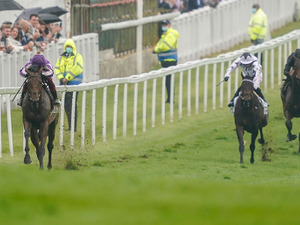 【愛オークス】欧州のディープ産駒・スノーフォール、英愛オークス制覇なるか　鞍上ムーアで今晩23時過ぎ発走 画像