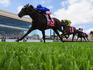 【ピックアップ2歳馬】三浦皇成騎手の初GI制覇に期待がかかるダートの新星現る　砂のダービー候補が堂々ランクイン 画像