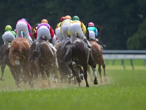 【スプリンターズS／馬場情報】中山は「芝:稍重・ダ:重」、芝のクッション値は「9.3」で前年より水分を含んだ馬場 画像